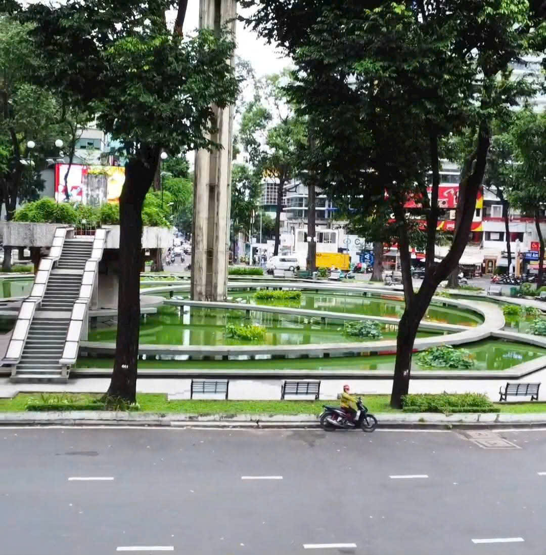 SIÊU PHẨM VIEW HỒ CON RÙA – HÀNG HIẾM 50 NĂM CÓ 1